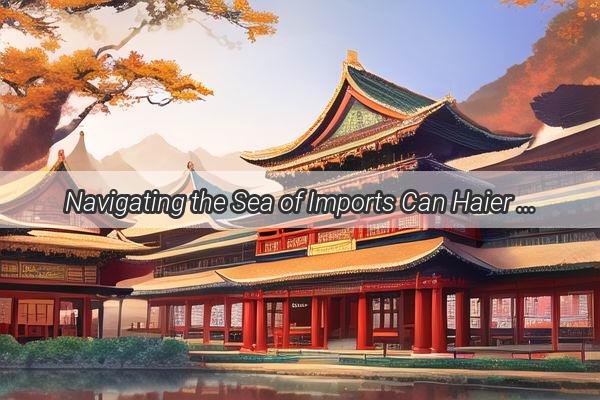 Navigating the Sea of Imports Can Haier China Handle Customs with Ease